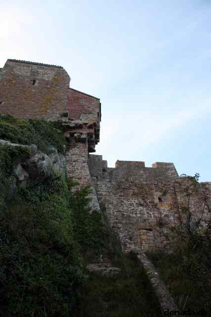 * Image 176