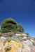 201108300128m.jpg - 2011:08:30 11:24:35
