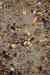 201108300282m.jpg - 2011:08:30 14:03:25
