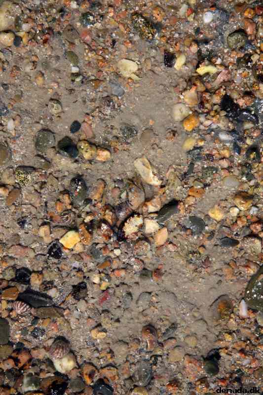 * Image 131