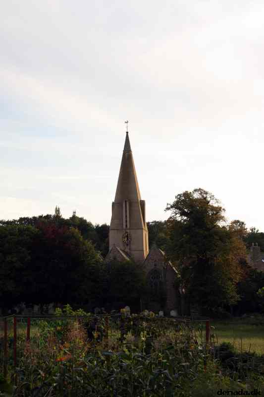 * Image 183
