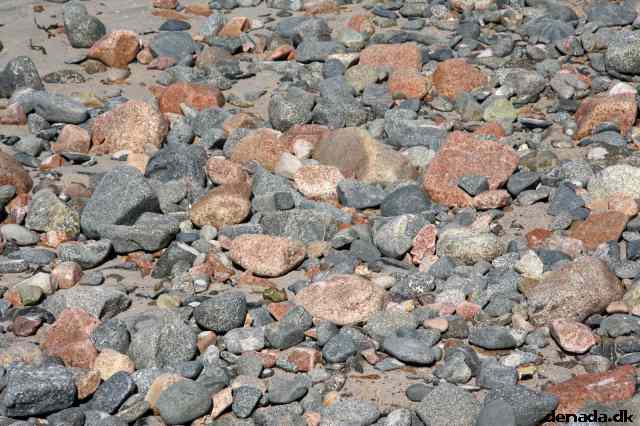 * Image 41