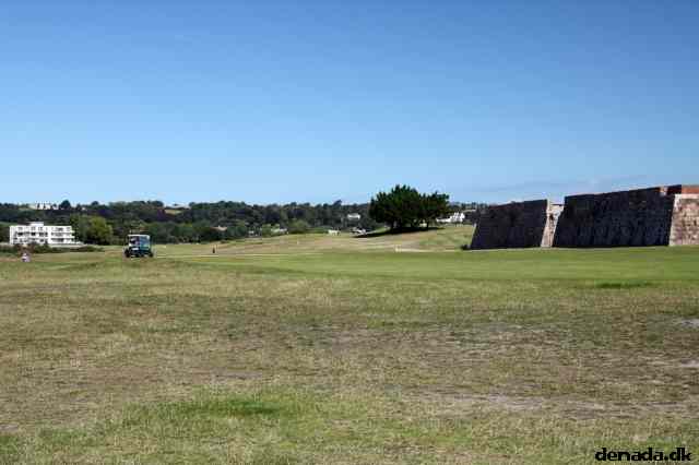 * Image 66