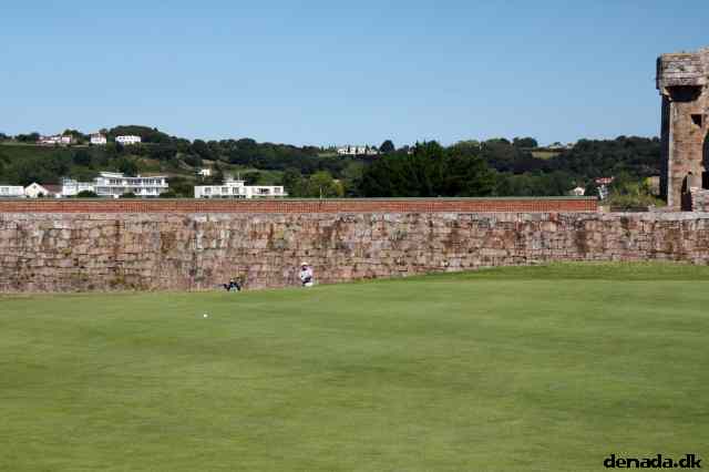 * Image 70