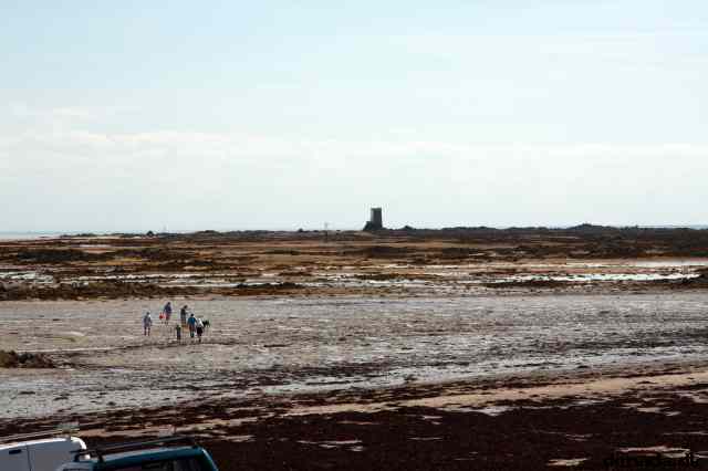 * Image 75