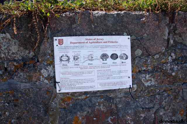 * Image 76
