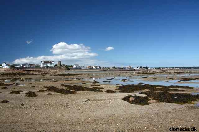 * Image 80