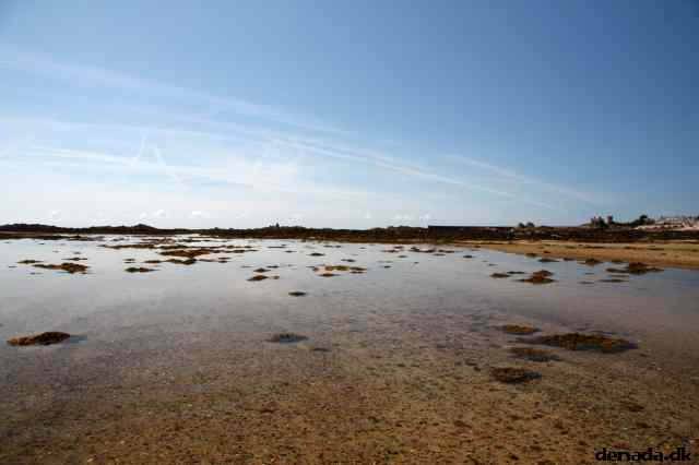 * Image 91