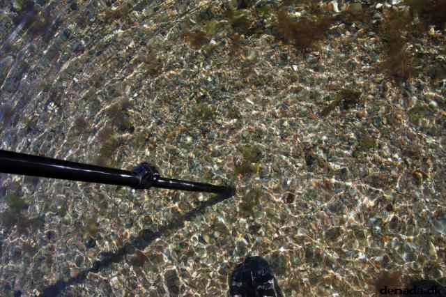 * Image 95