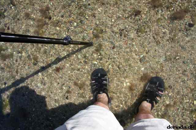 * Image 96