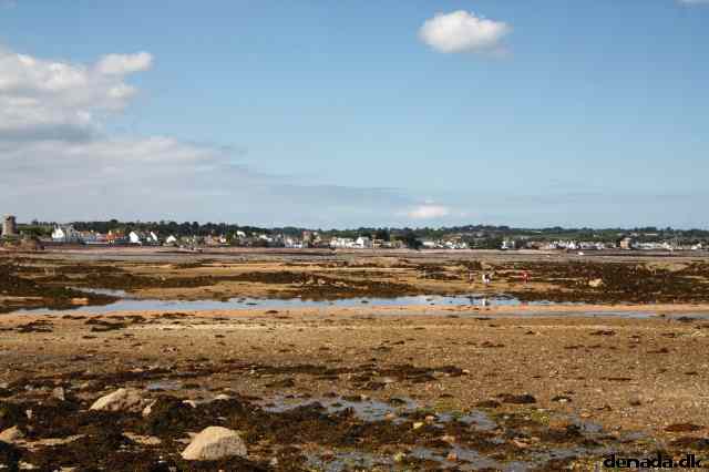 * Image 97