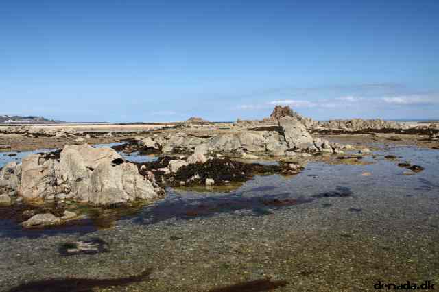 * Image 101
