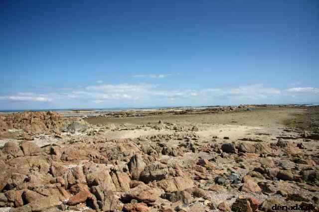* Image 106