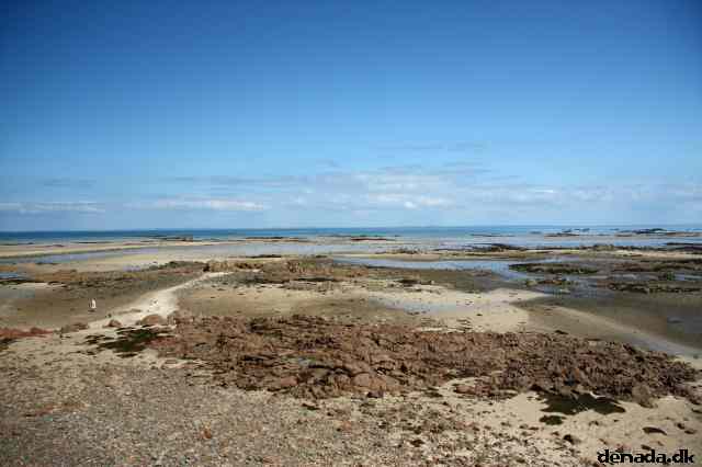 * Image 113