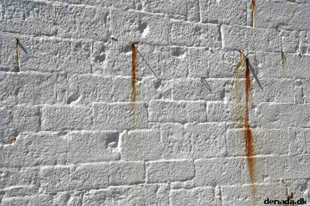 * Image 118