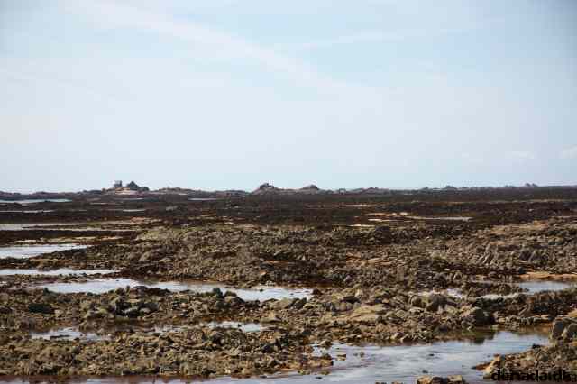 * Image 121