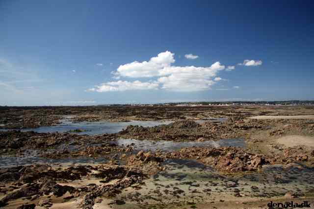 * Image 125