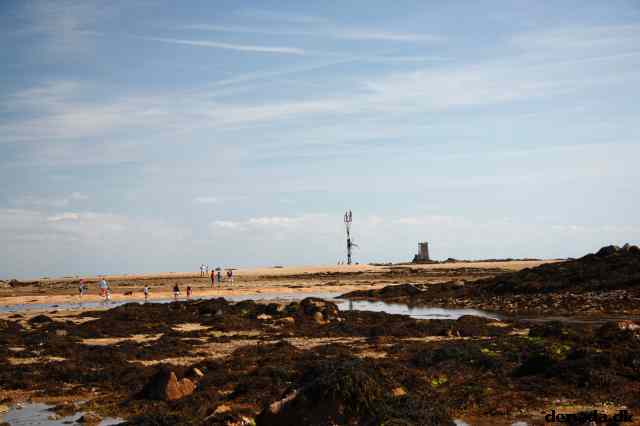 * Image 136