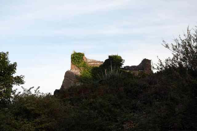 * Image 171