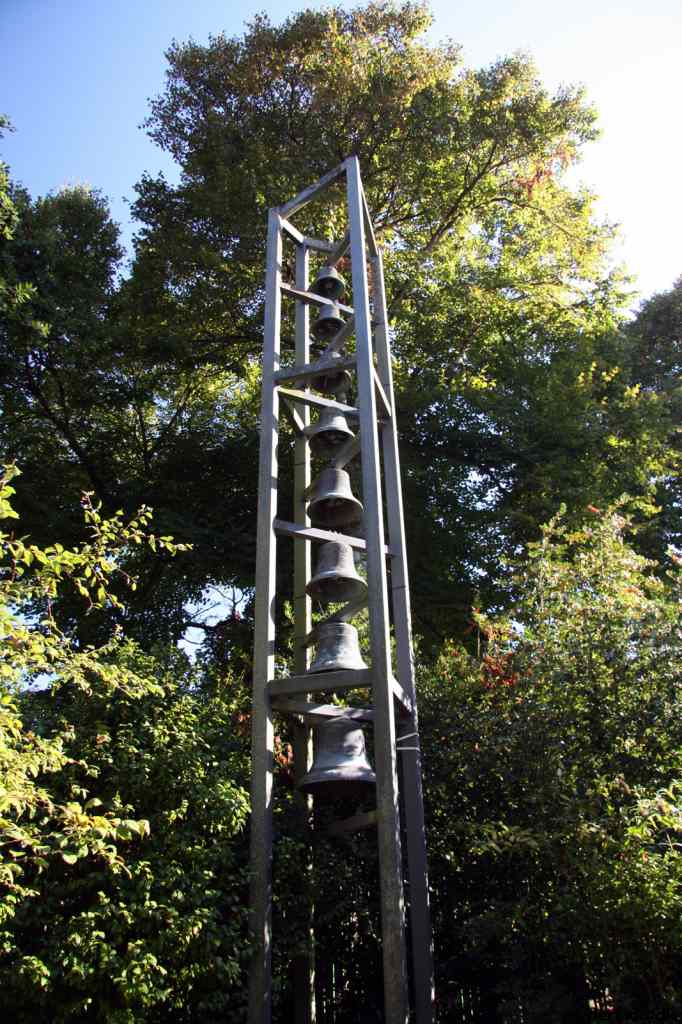 * Image 8