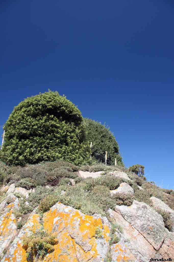 * Image 50