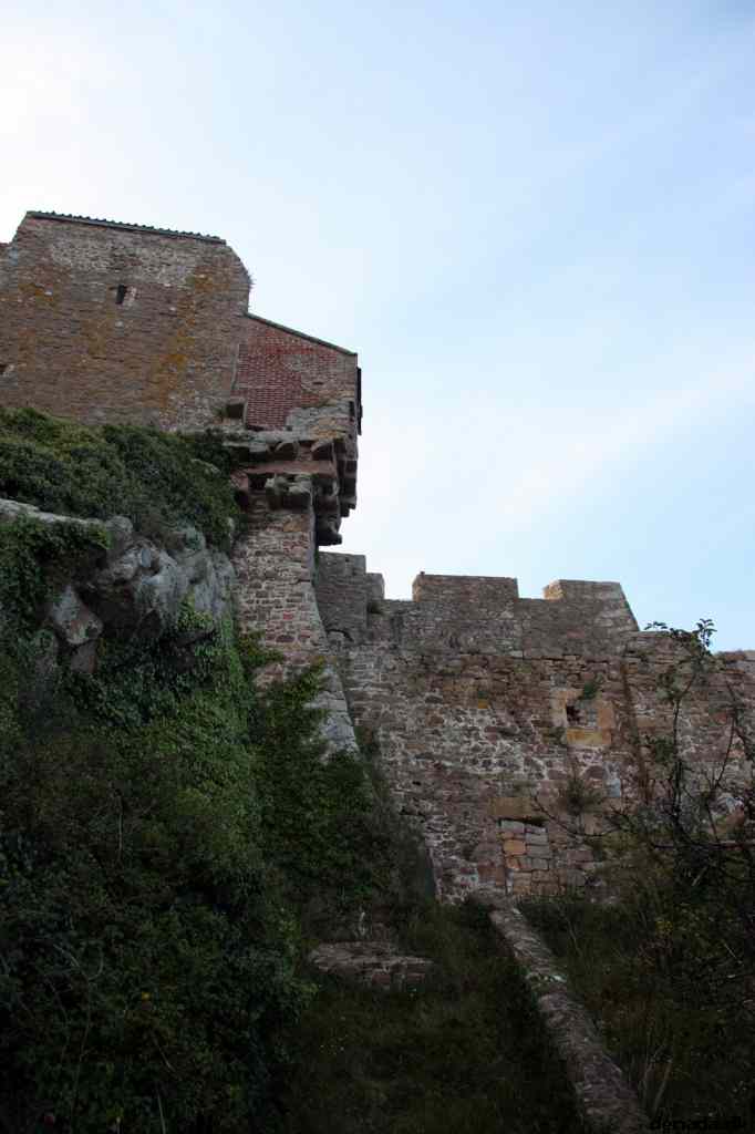 * Image 176