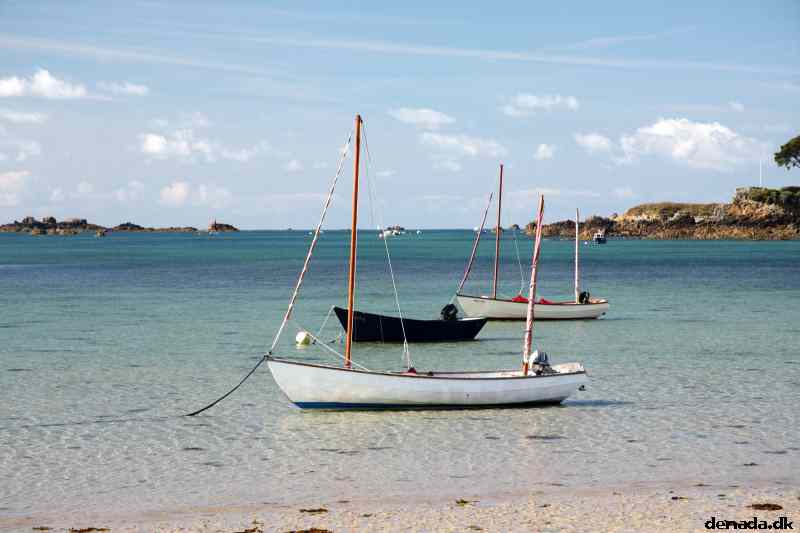 * Image 37