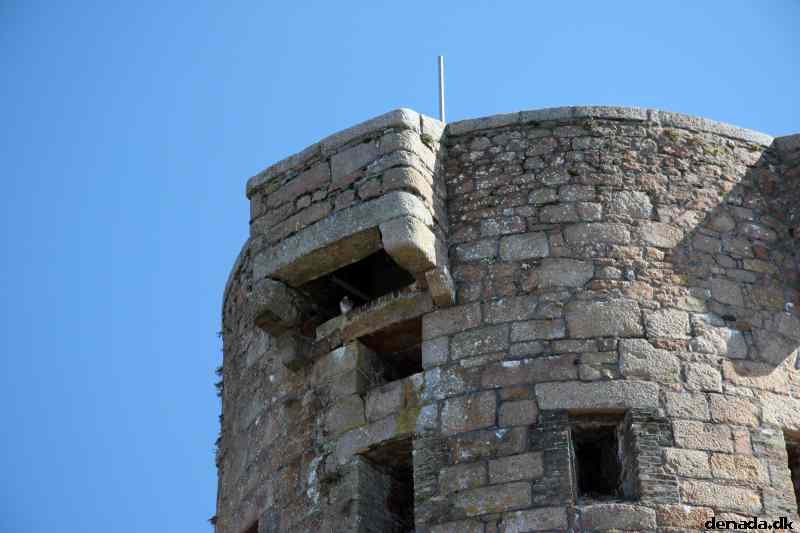 * Image 38