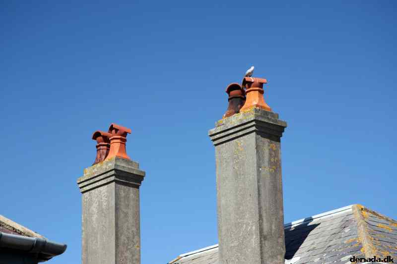 * Image 59