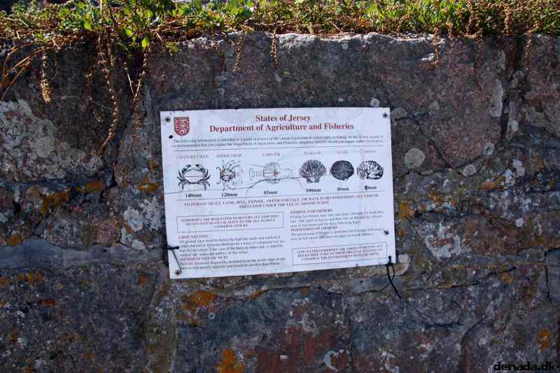 * Image 76