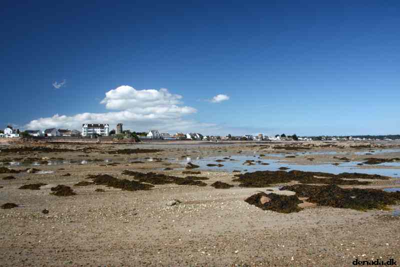 * Image 80