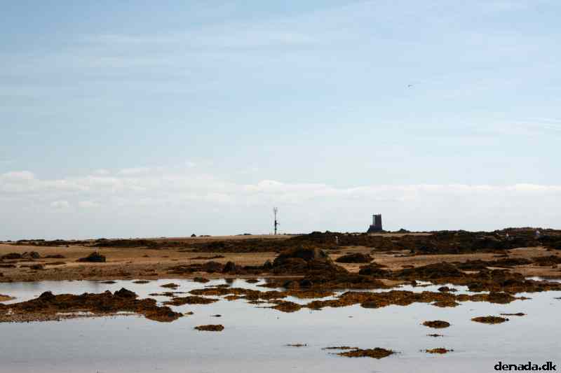 * Image 90