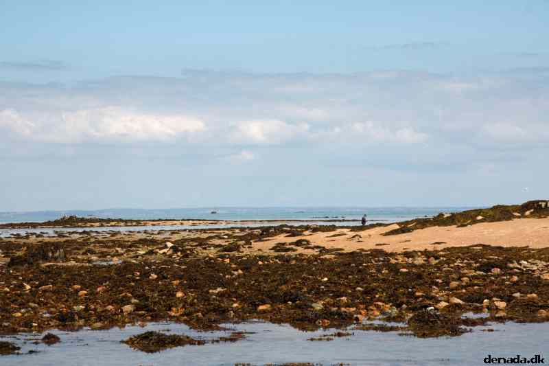* Image 94