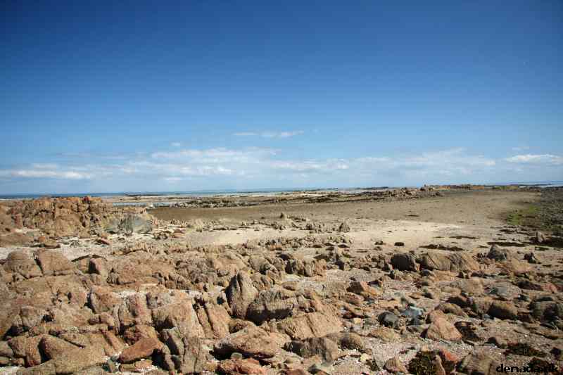 * Image 106