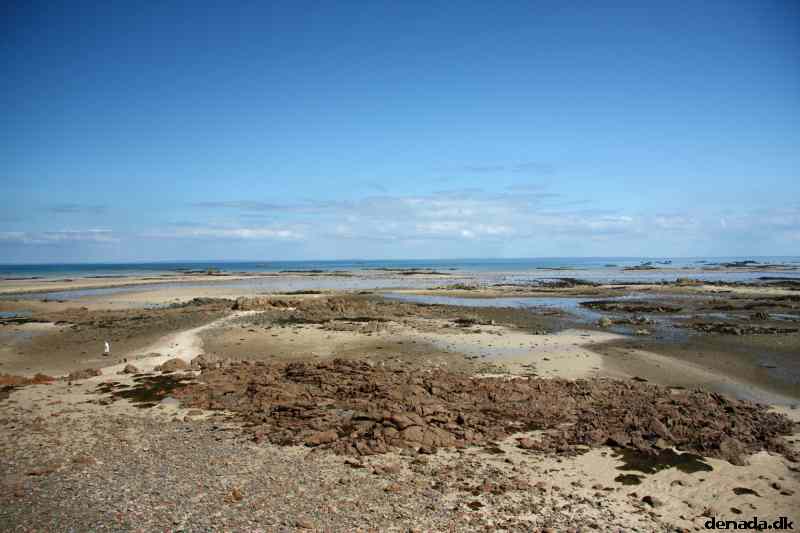 * Image 113