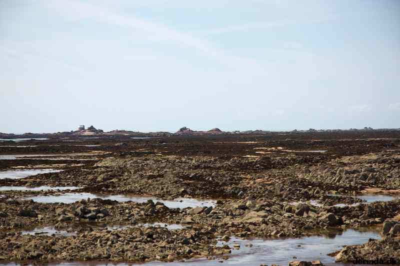 * Image 121