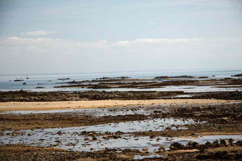 * Image 123