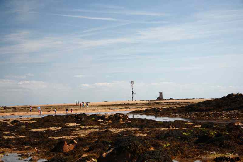 * Image 136