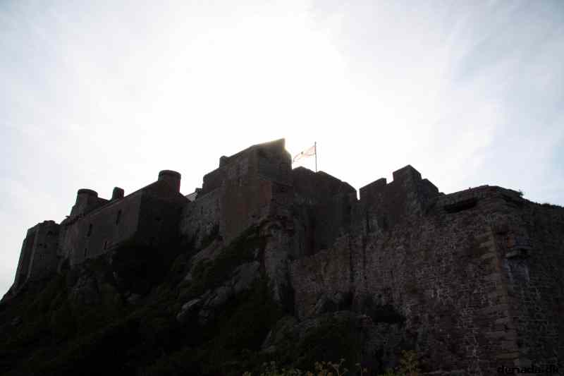 * Image 175