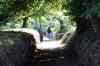 201108310374m.jpg - 2011:08:31 10:03:27