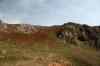 201108310442m.jpg - 2011:08:31 14:21:03