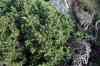 201108310512m.jpg - 2011:08:31 16:31:03