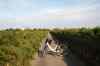 201108310555m.jpg - 2011:08:31 17:37:52