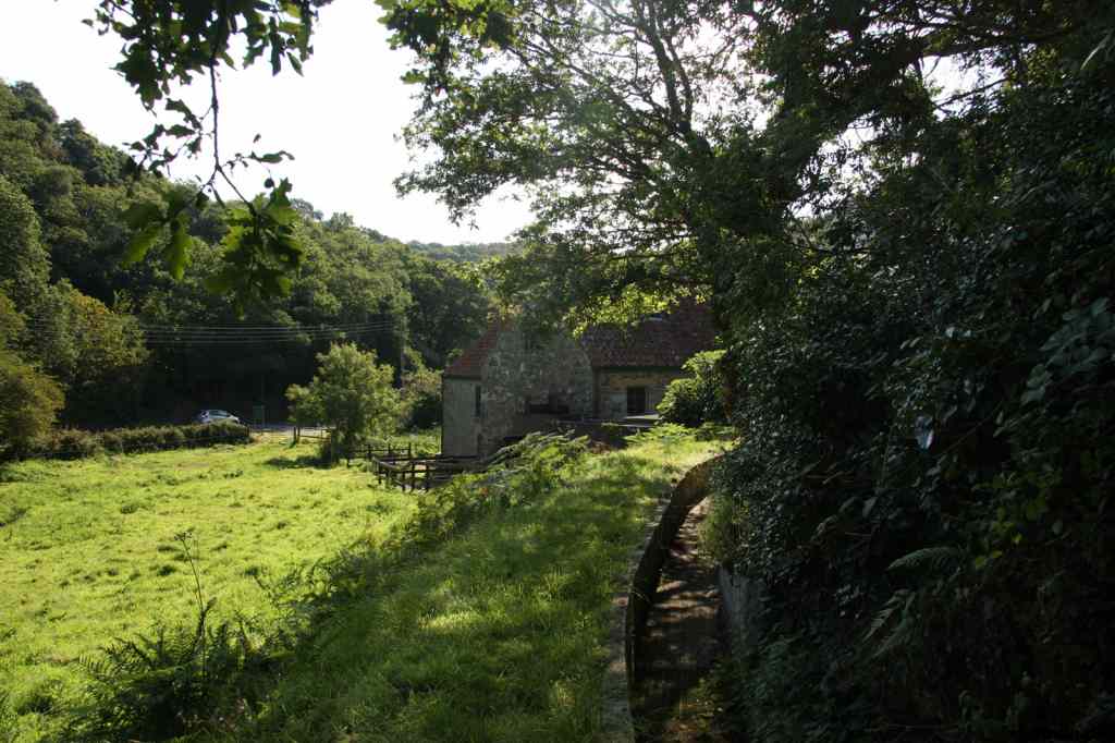 * Image 6