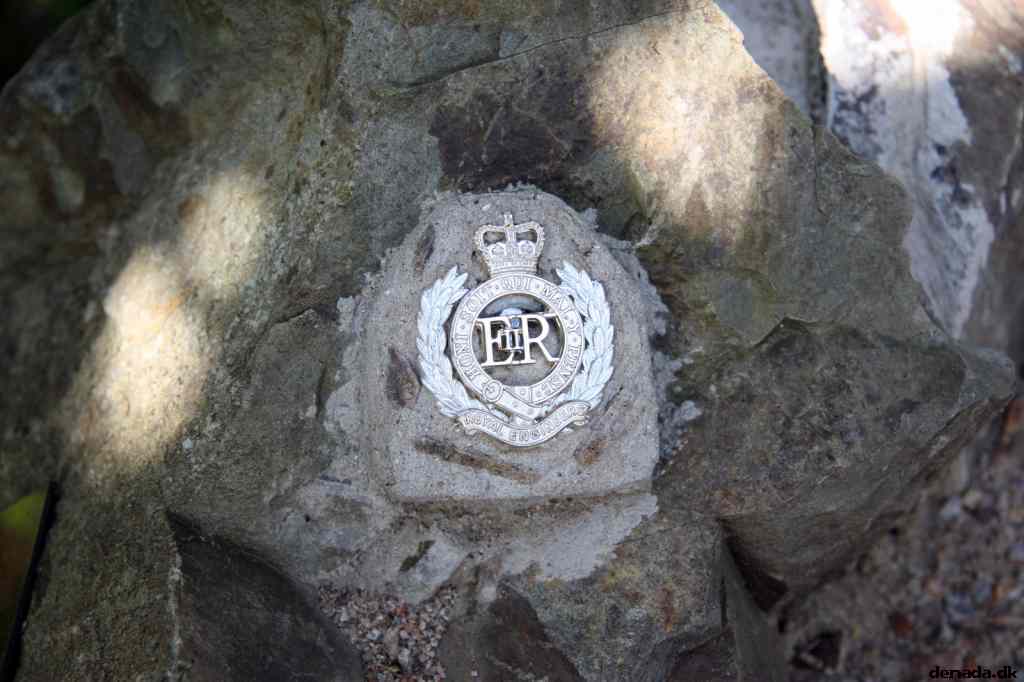 * Image 7