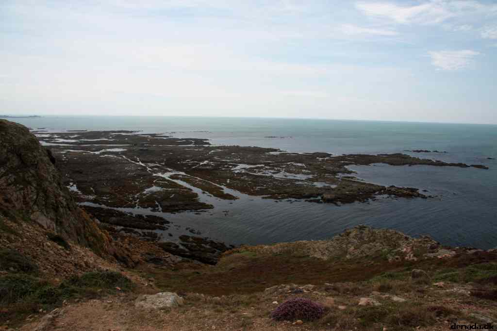 * Image 23