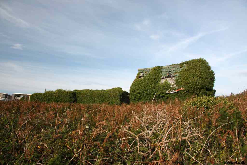 * Image 90