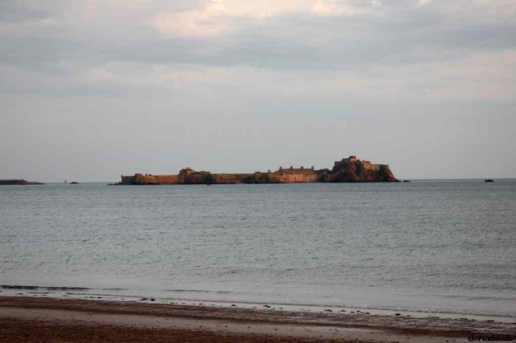 * Image 102