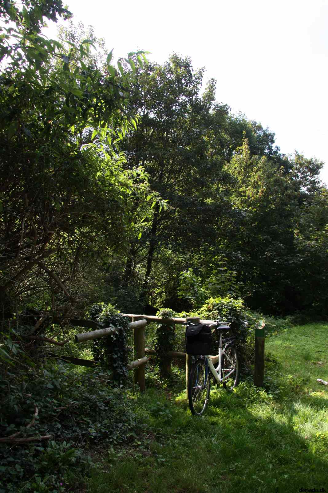 * Image 12
