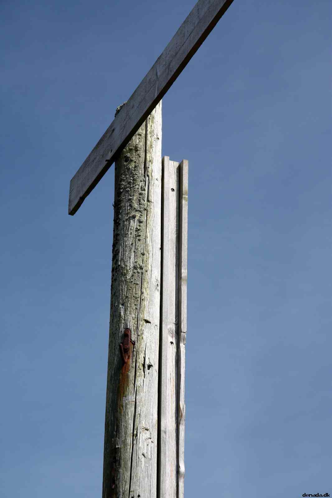 * Image 54